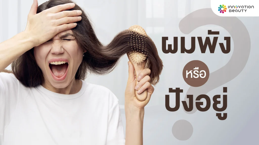 บทความ ผมพัง หรือ ปังอยู่