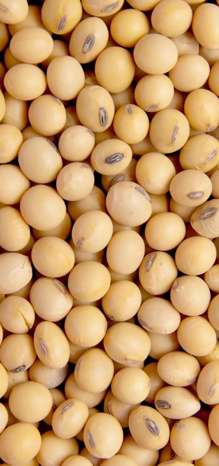 all_สารสกัด web-35_0_INNO_IMG