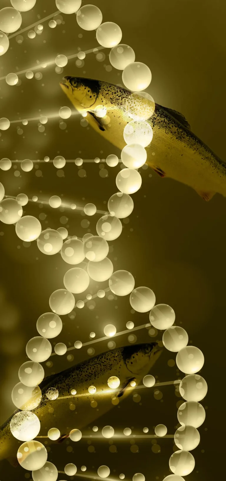 all_สารสกัด web-63_0_INNO_IMG