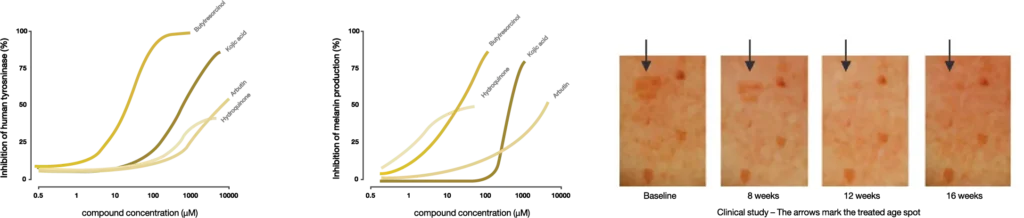 re_img_glitter_premium_2_INNO_IMG