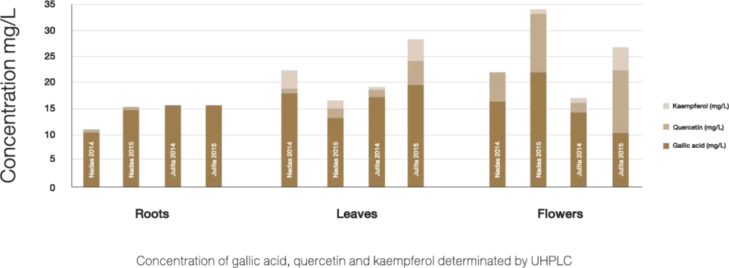 re_img_glossy_1_INNO_IMG