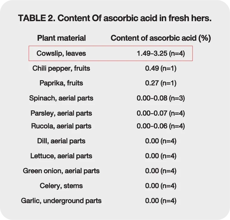 re_img_glossy_2_INNO_IMG