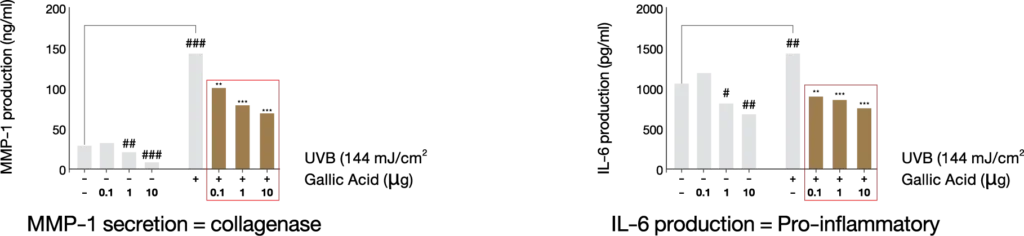 re_img_glossy_3_INNO_IMG