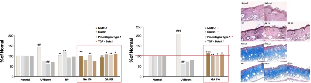 re_img_glossy_4_INNO_IMG