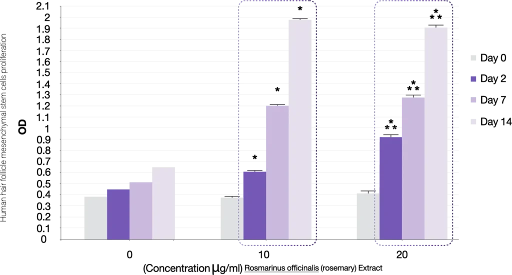 re_img_haira_1_INNO_IMG