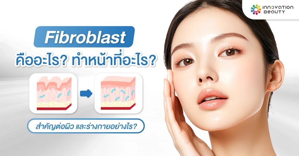 Fibroblast คืออะไร? ทำหน้าที่อะไร? สำคัญต่อผิวและร่างกายอย่างไร?