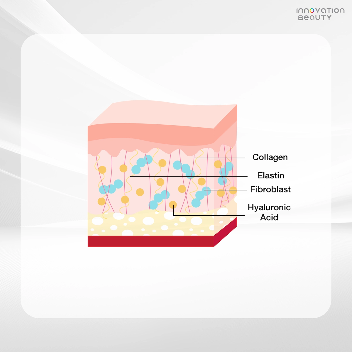 Collagen Biostimulator กี่วันเห็นผล?
