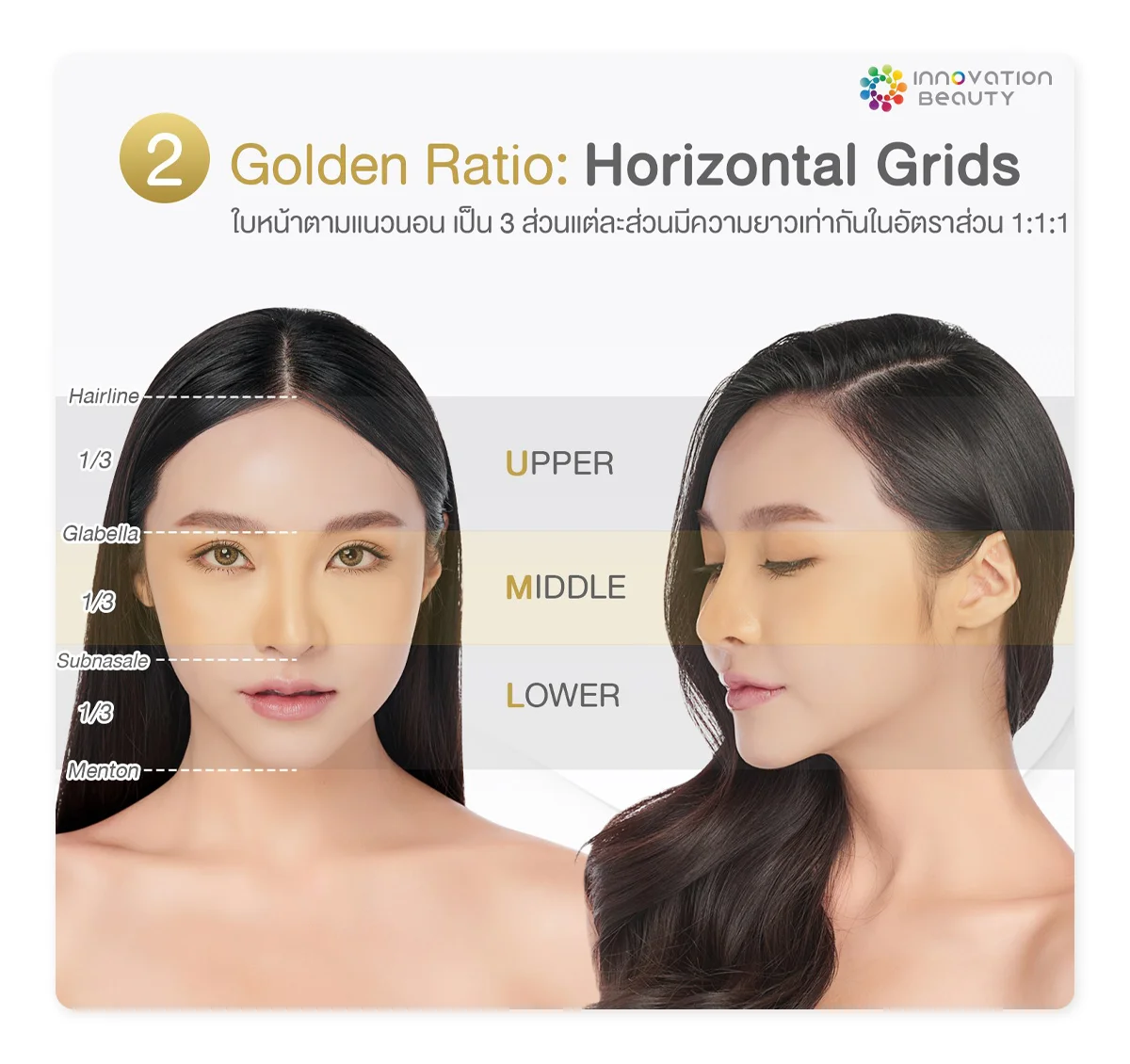สัดส่วนทองคำ Golden Ratio : Horizontal Grids