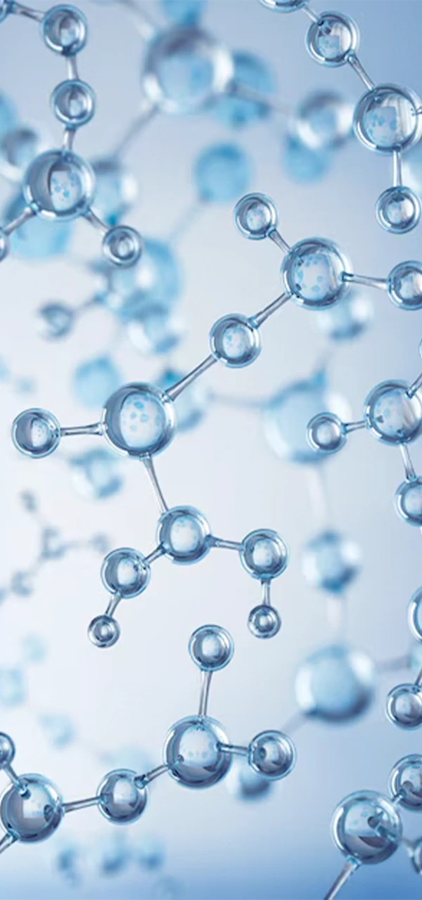 Carboxymethyl cellulose (CMC)
