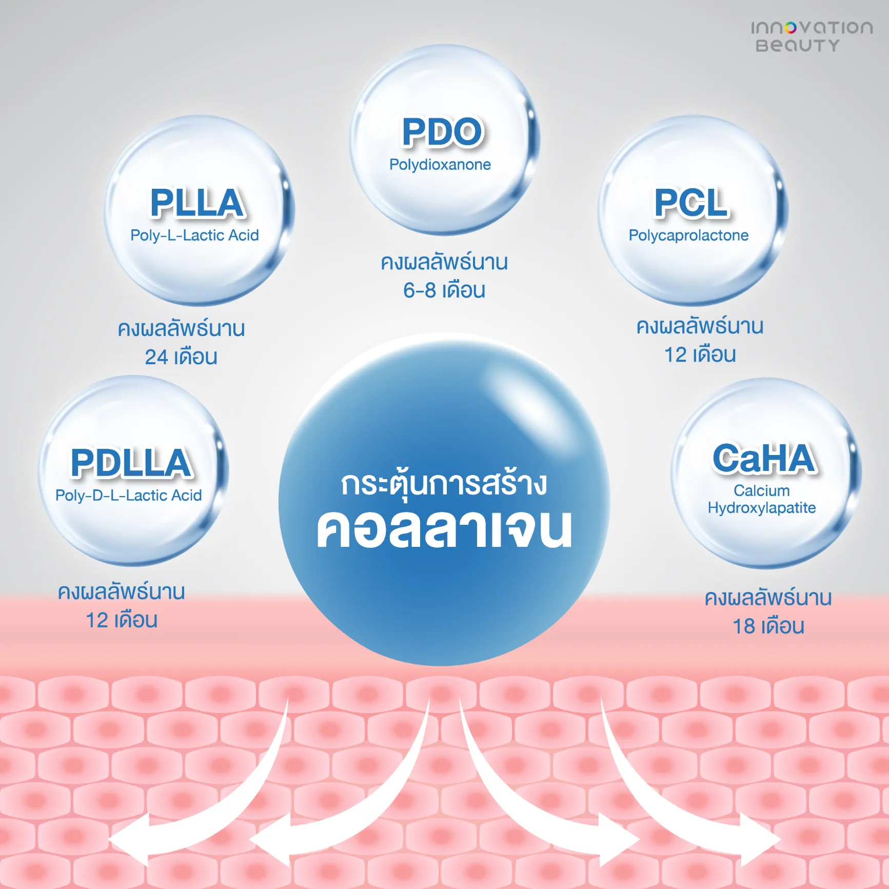 ระยะเวลาการเห็นผลของ biostimulator แต่ละชนิด