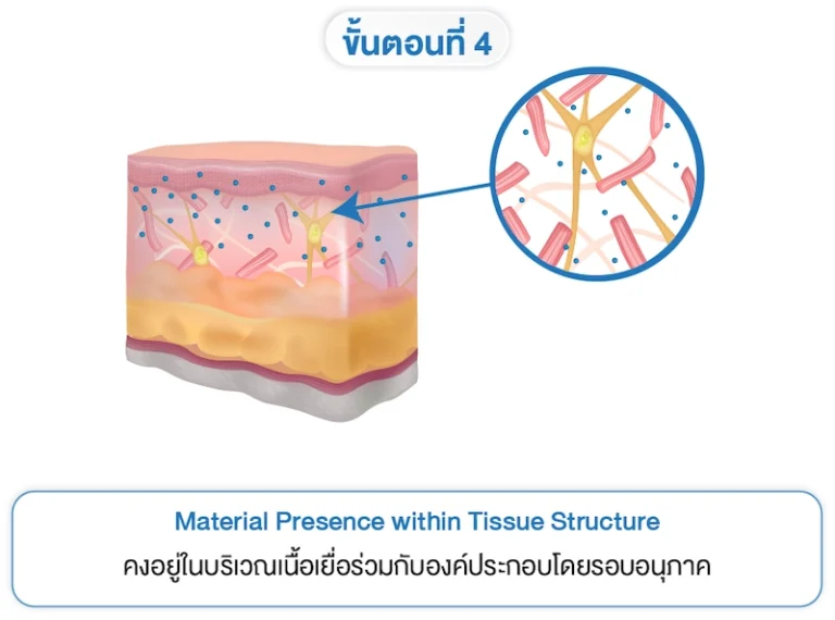 Treatment Principle 4