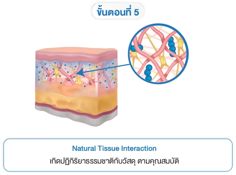 Treatment Principle 5