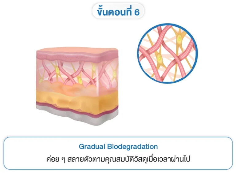 Treatment-Principle-bio-06