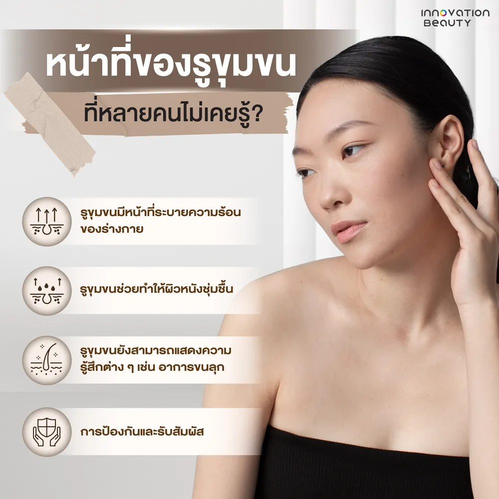 หน้าที่ของรูขุมขน