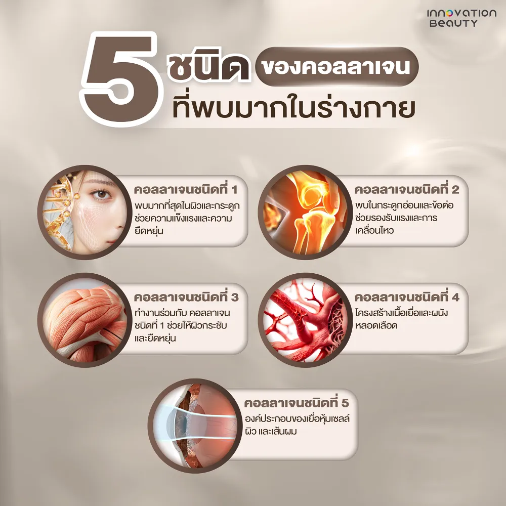 5 ชนิดของคอลลาเจนที่พบมากในร่างกาย