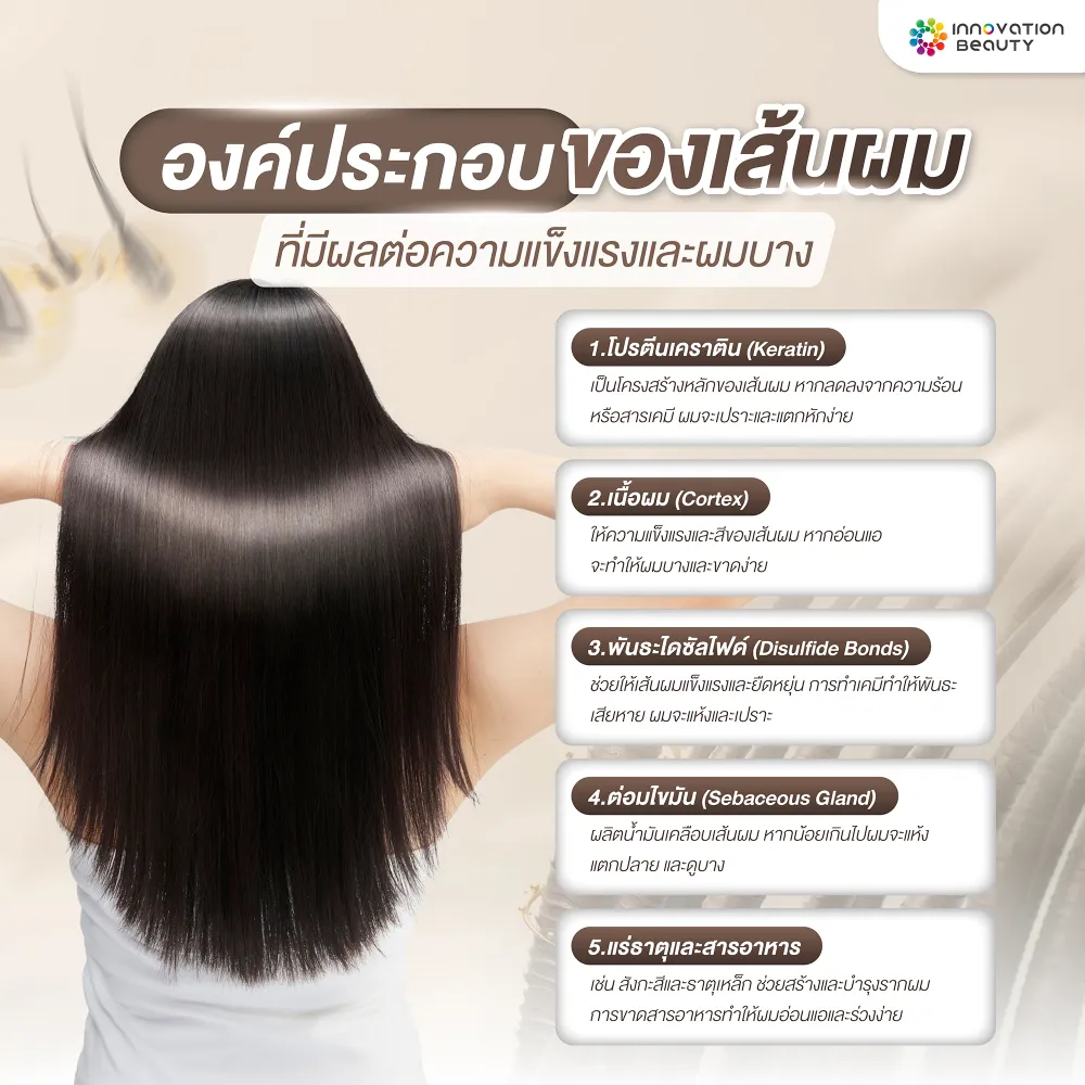 องค์ประกอบของเส้นผมที่มีผลต่อความแข็งแรงและผมบาง