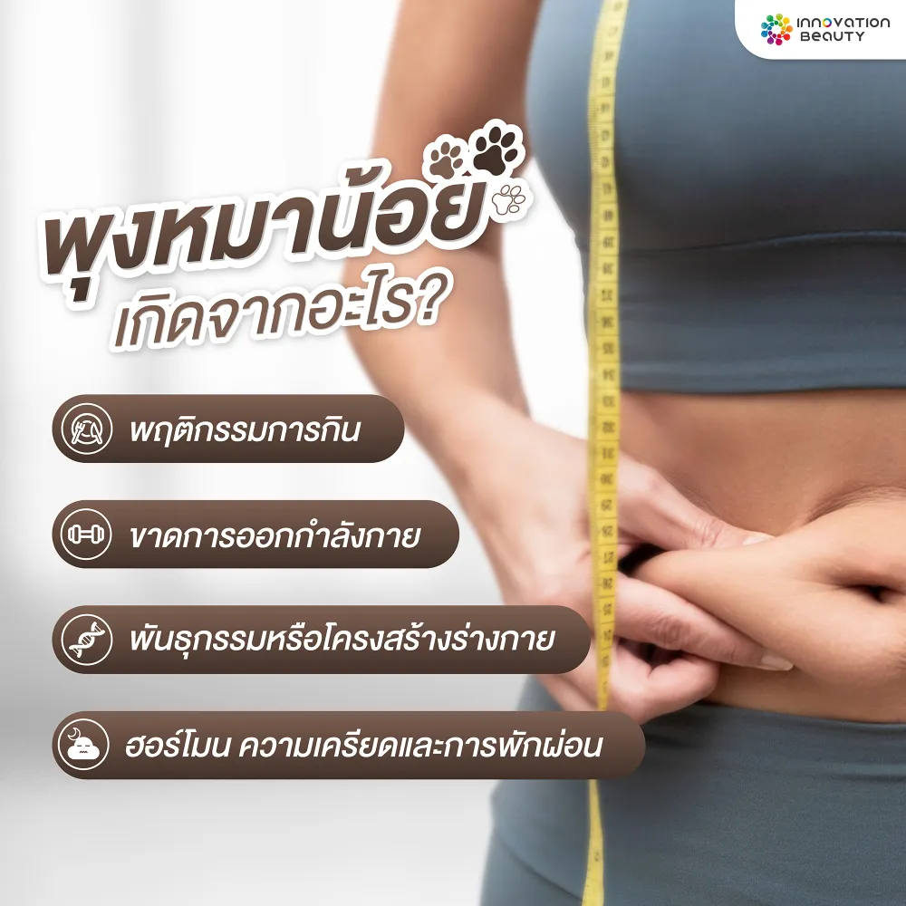 พุงหมาน้อยเกิดจากอะไร?