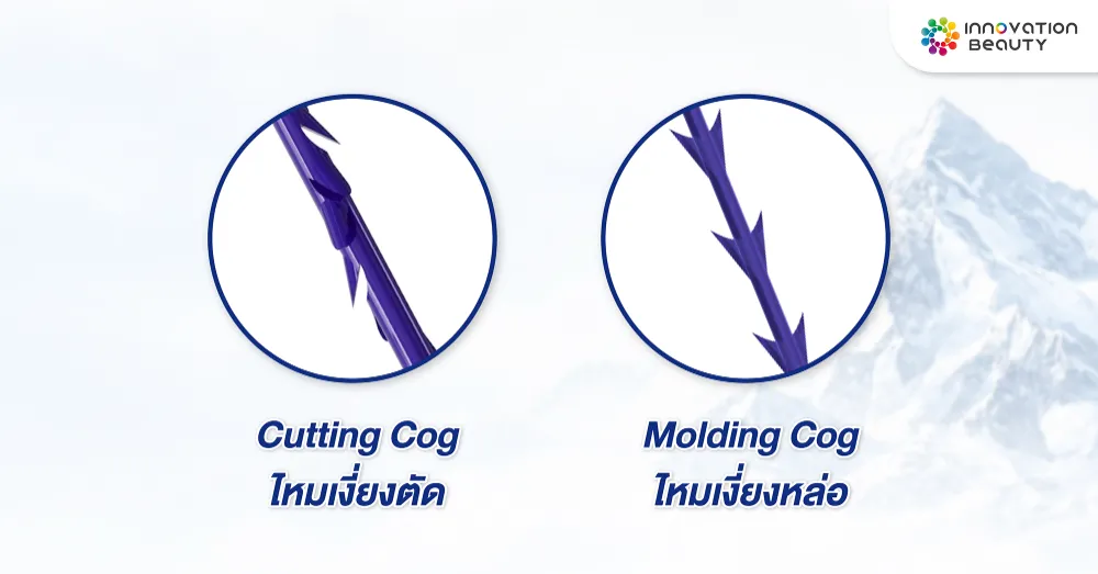 ไหม Cog แต่ละแบบต่างกันอย่างไร